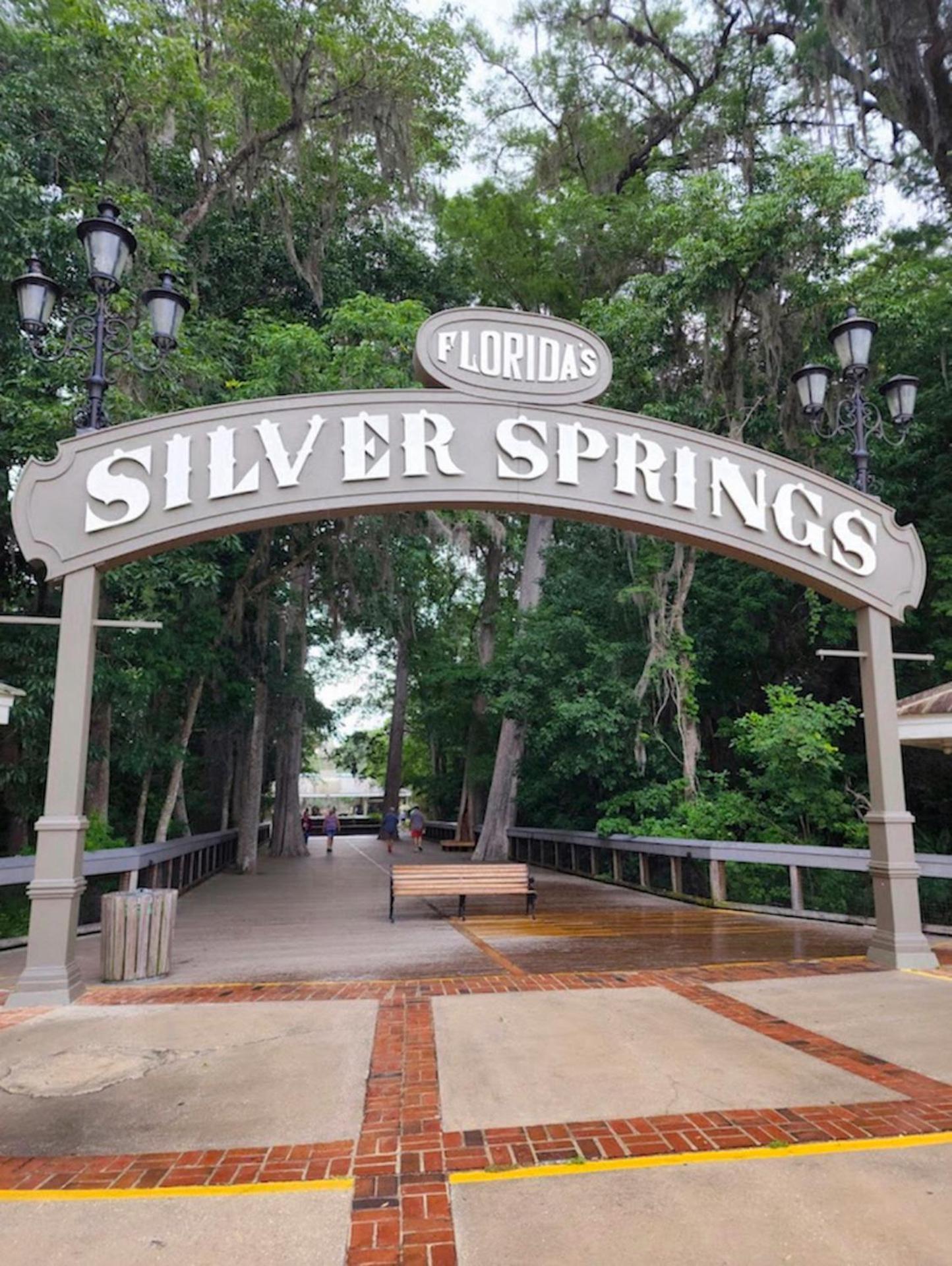 Private Home In Ocala With Fenced Yard, Piano, Central Location, Pets Welcome Exterior foto